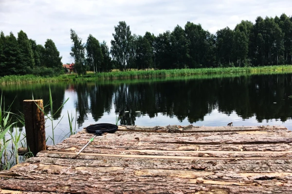 Zdjęcie 