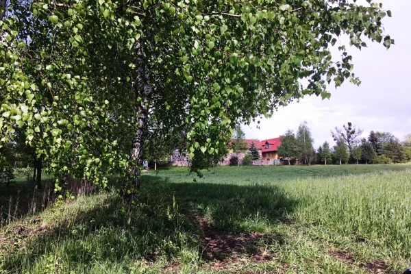 Zdjęcie 