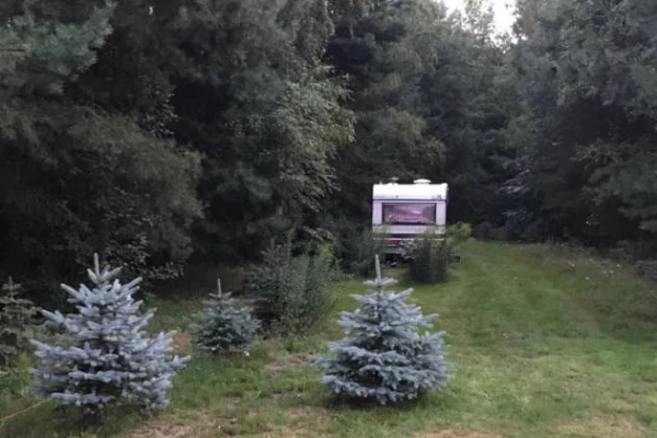 Zdjęcie 