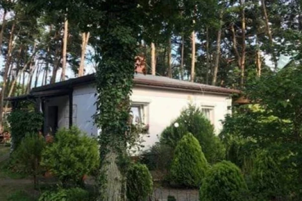 Zdjęcie 